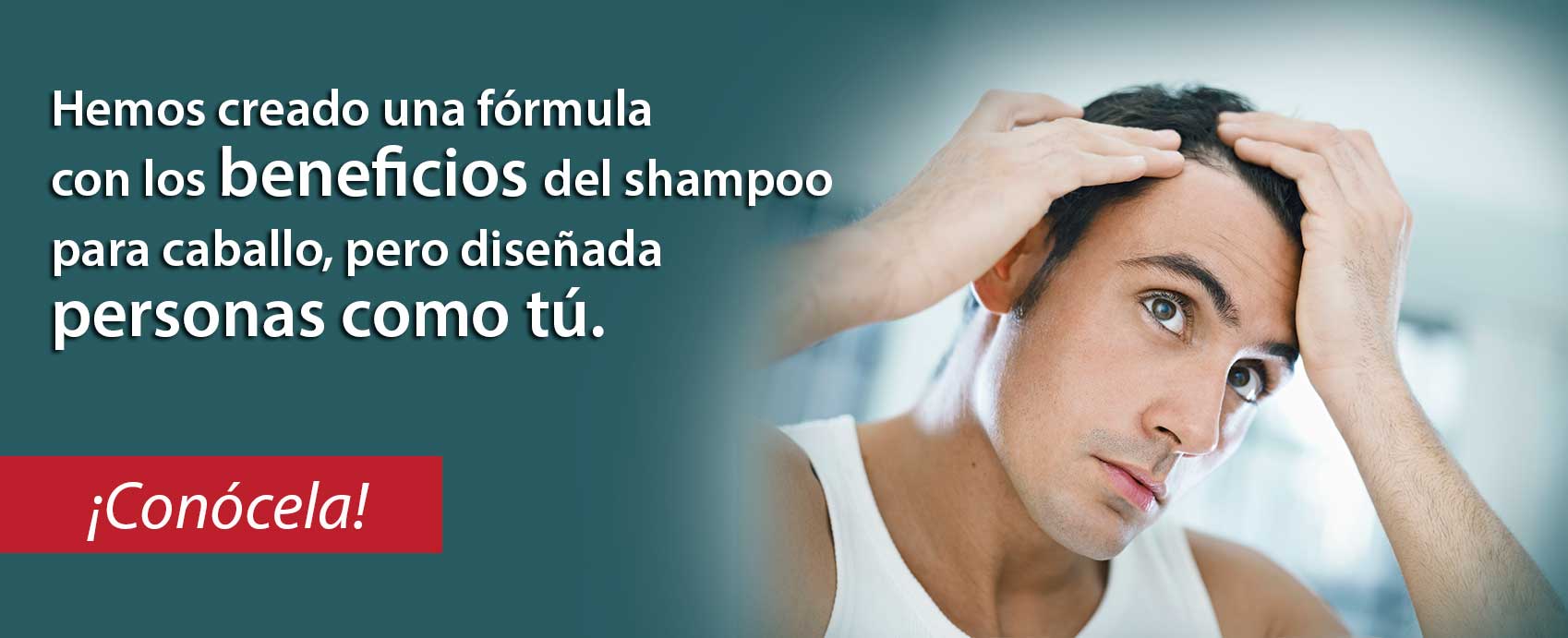 donde comprar shampoo de caballo