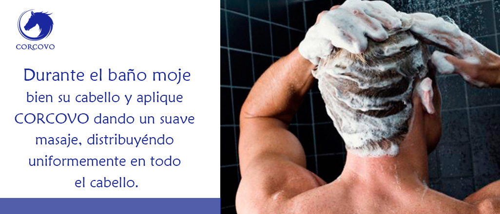 Shampoo de caballo para hombre